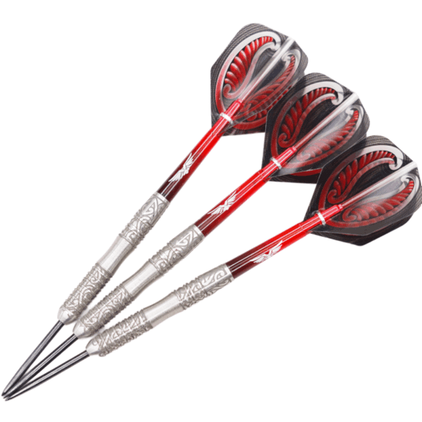 Warrior Hautoa 24g Steel Tip