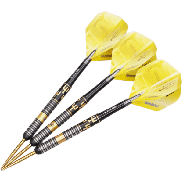 Bobby George 24g Steel Tip